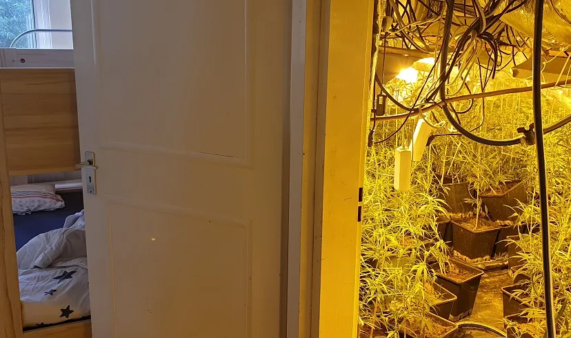 283604478 382175687280604 6160864717224759925 n