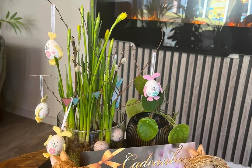 339907545 1293637691218013 1499379301499797323 n bon thai