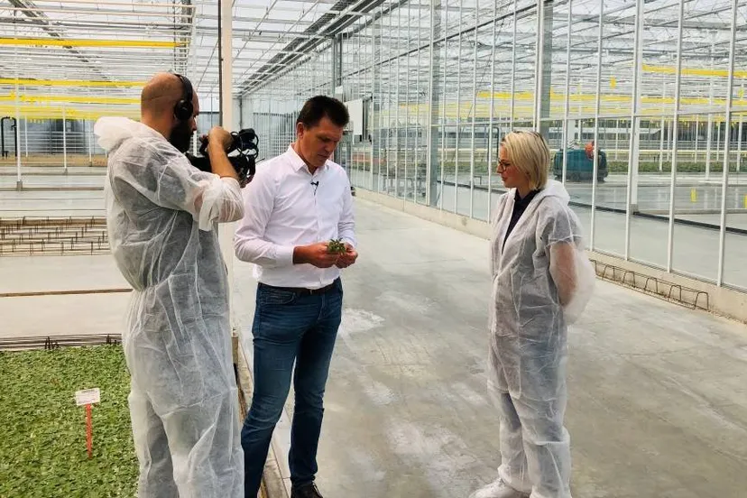 702 wat maakt venlo bij gipmans