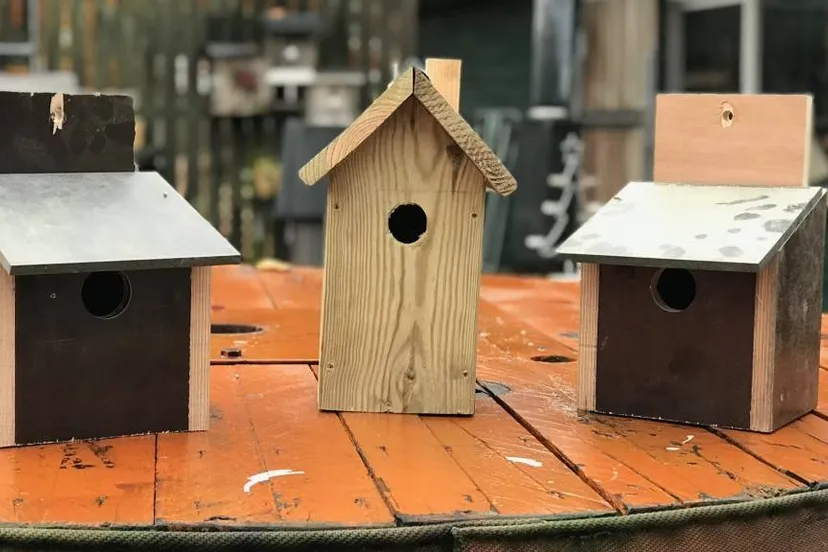 781 nestkastjes kandoen