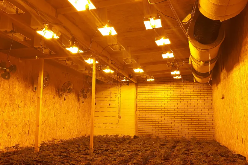 80523642 2088882554591203 4433130247814119424 o