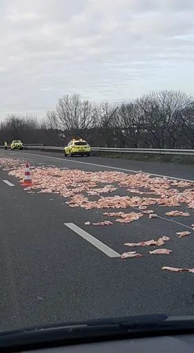 82001450 2694260424137809 8932630135627055104 n