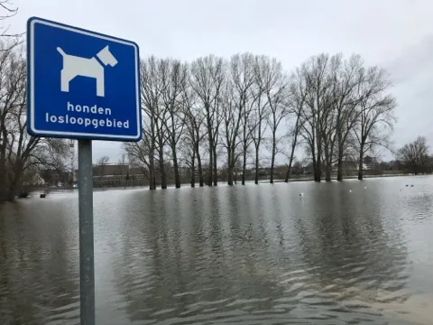 84086306 468915347111839 1650587336653668352 n