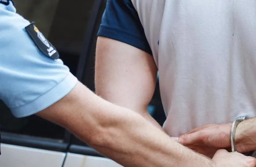 86661813 4941127962571341 2073222035659554816 n