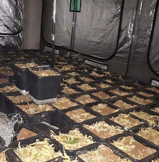 88273534 2186920438120747 8629578450107105280 o