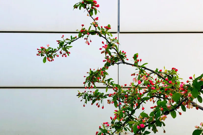 91243413 660189807878524 2877955201619197952 n