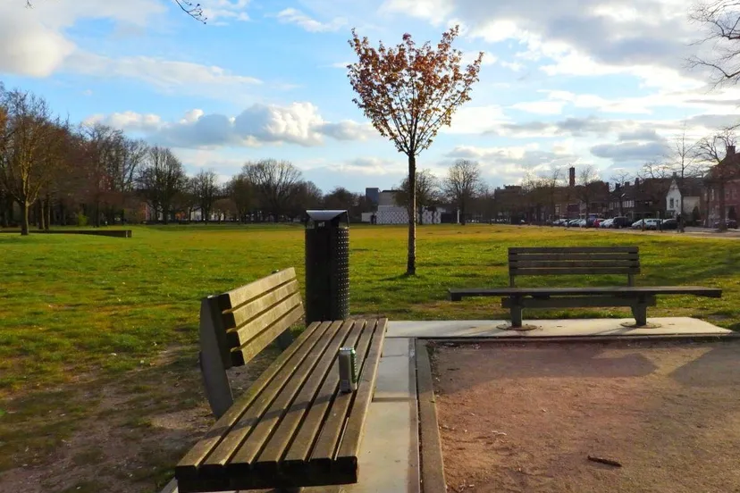 91390215 711933189572015 8796782540552667136 n