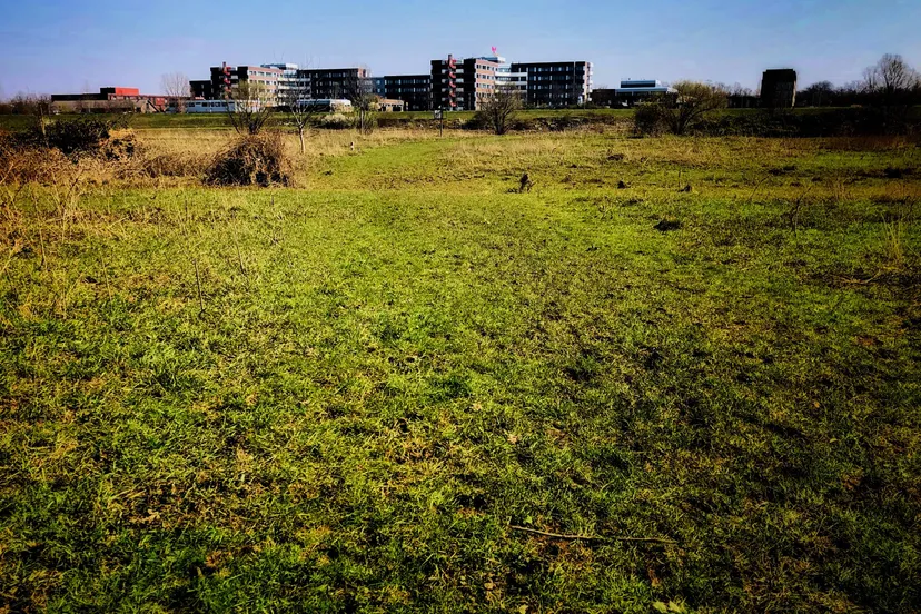 92250729 205810920723718 6008647109526421504 n