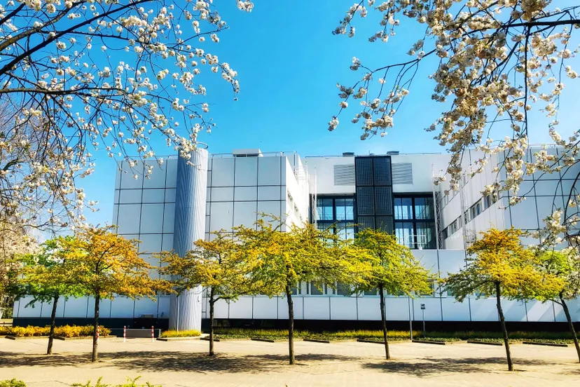 92956928 595321731195371 4884281553980489728 n