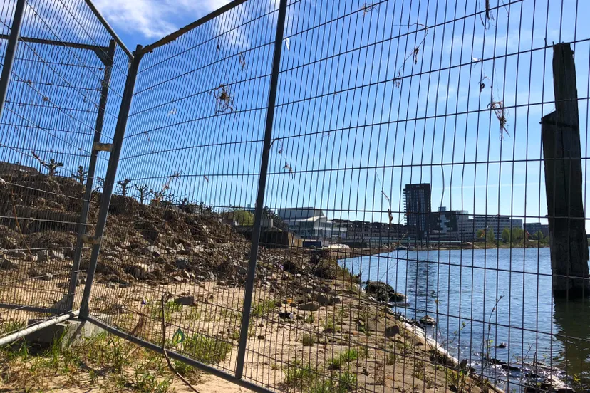 92984651 685560918677160 1231869089475985408 n