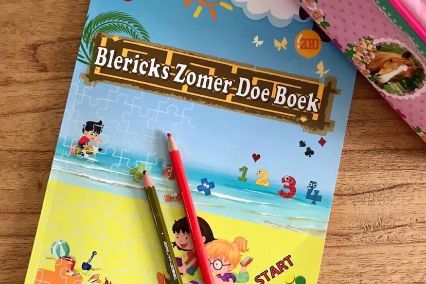 950 blericks zomer doe boek