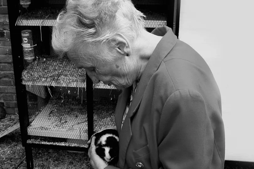 dependent g8bd15f3a8 1280