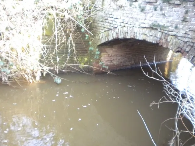 everlosebeek