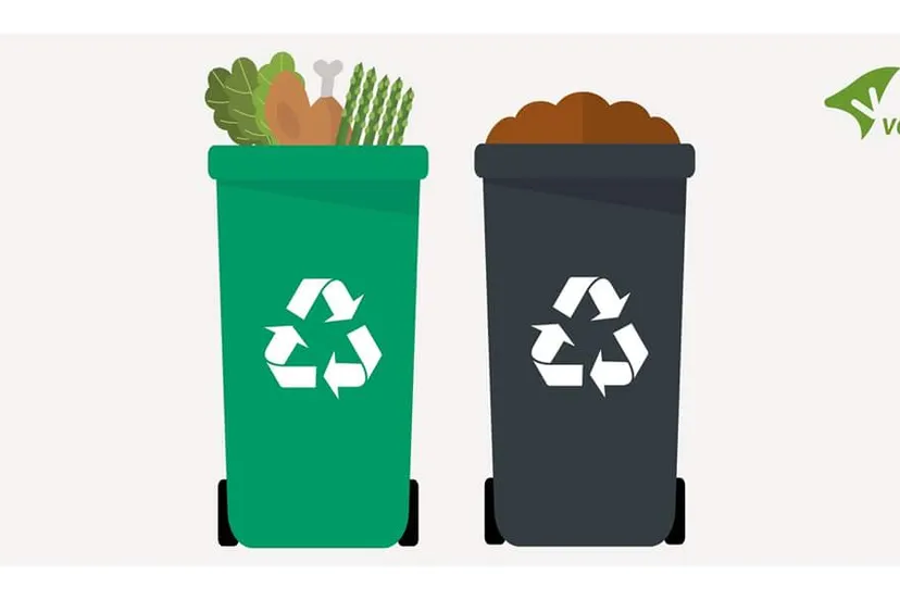 fb img 1533655370361