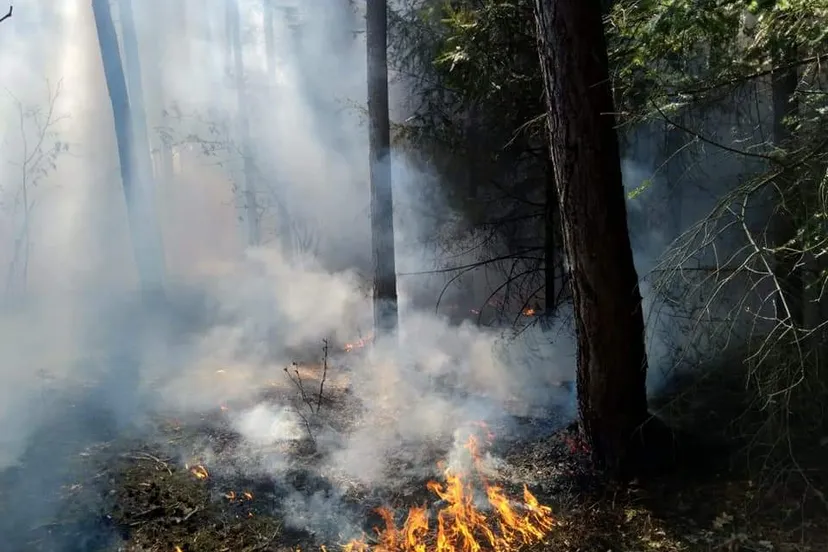 fb img 1555690487941