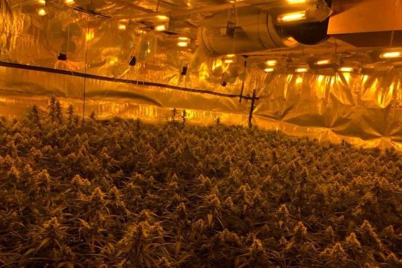 fb img 1565885526001