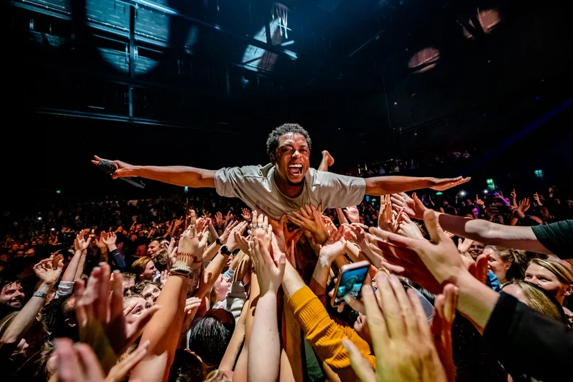 ferdy damman voorkeur cropped