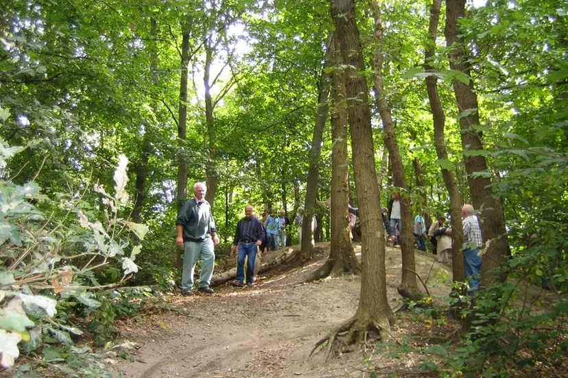 groote heide bomen en struiken 1