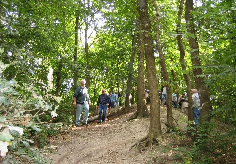 groote heide bomen en struiken