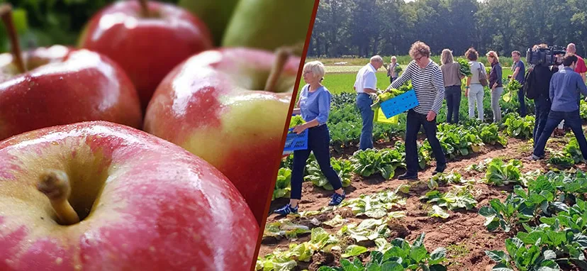 herenboeren kopafbeelding