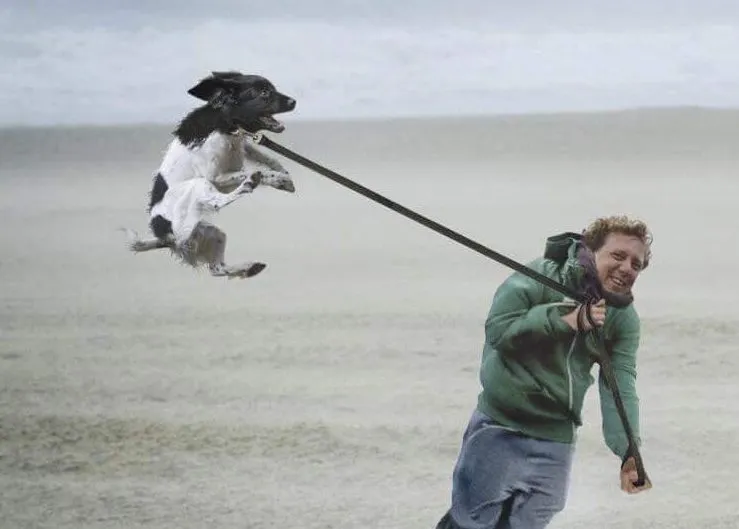 hond lucht e1581245983342