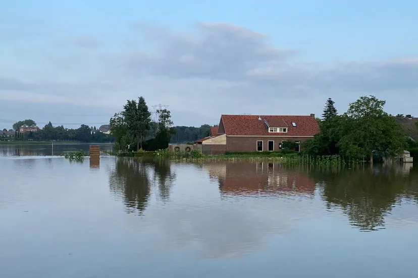 hoogwater in peel en maas