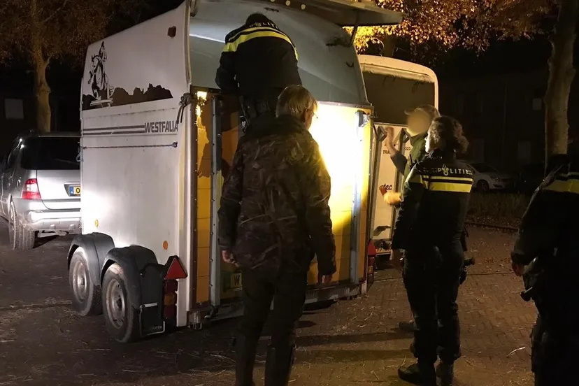 house of animals via twitter