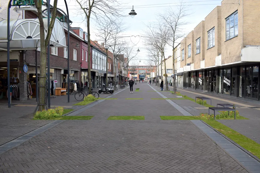 judith reijnders roosters