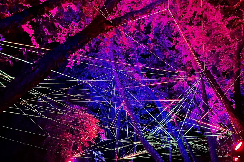 kasteeltuinenarcen rhizome