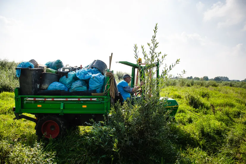 maas cleanup 2021 preview lr 31