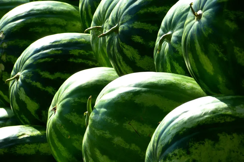 melons 197025 1280
