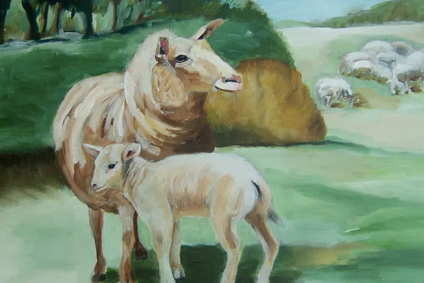 mergellandschapen irene simonis pelt