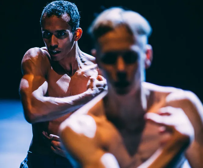 midnight raga rahi rezvani online 2 e1549546749271