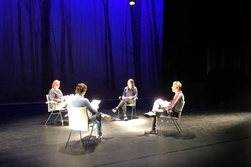 ok ok demaaspoort toneel venlo promobeeld