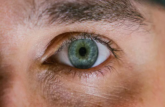 oog