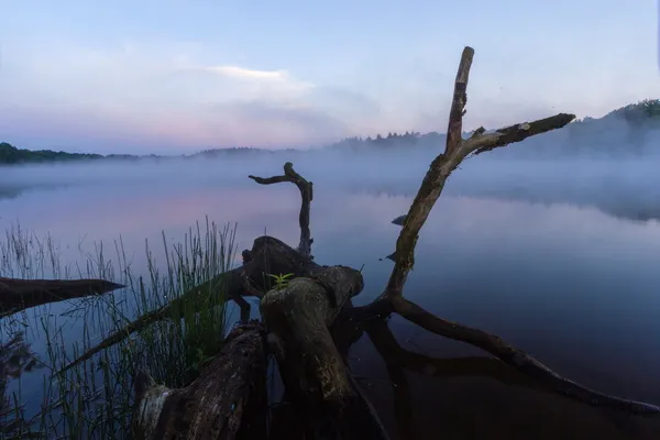 peter van der schans zwart water venlo