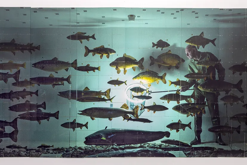 pii pii the fisherman 2022