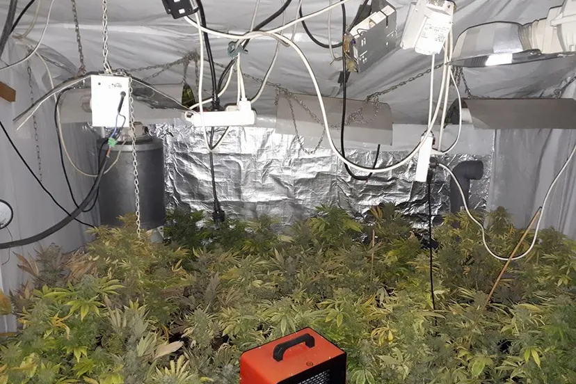 politie blerick hebbep