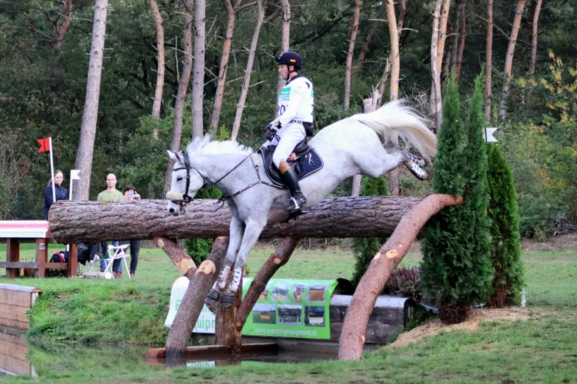 processed 5371d528 8c9c 4eed 85eb 6e7c7727fbc2 4hrrlc6m