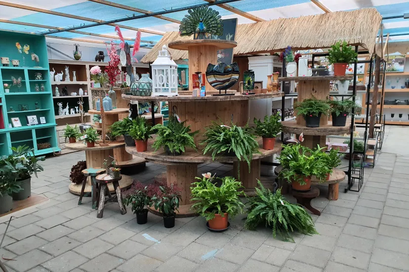 processed 93943d8d 4e3b 4c02 a1fe c3ec2eb23c37 xrnhjiwr