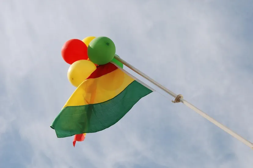 roadgeelgreunwkped07 carnaval