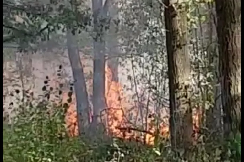 screenshot 20181014 175804 facebook