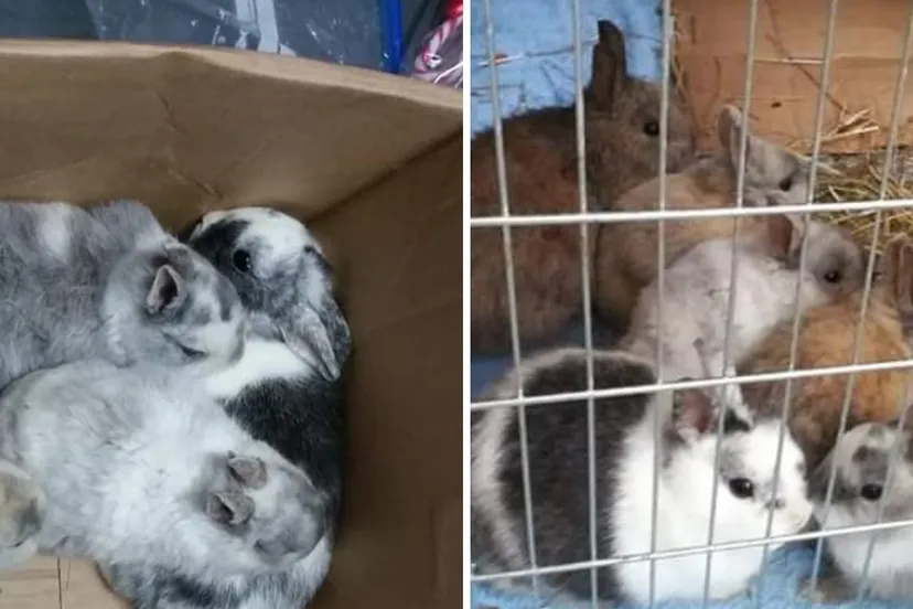 screenshot 20181223 180653 facebook