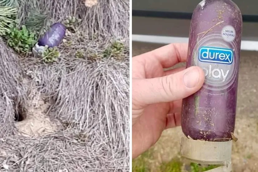 screenshot 20190324 084623 facebook