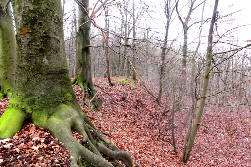 stijgen en dalen limburgslandschap