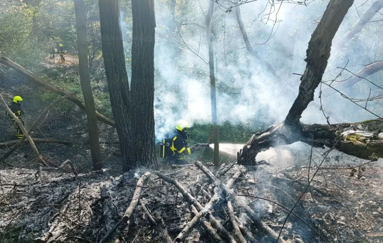 twitter brandweer belfeld