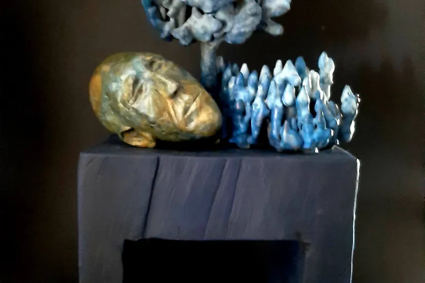 van veggel blue shadow kopie