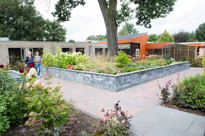 venlo eik notenboom wwwlaurafotostudionl 18 1