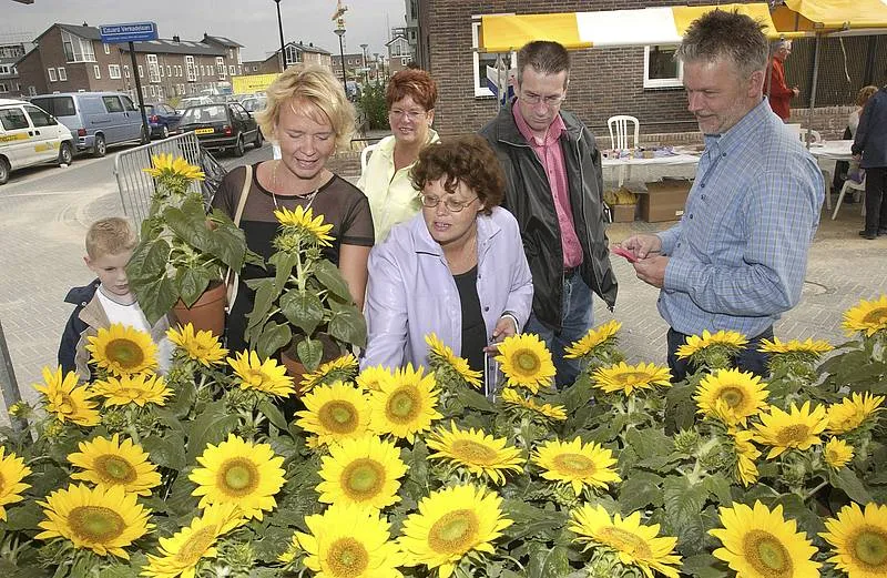 vrijwilligers met een plusje
