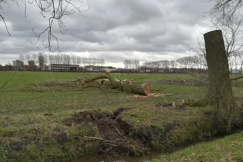 wageningen after the storm of 18 januari 2018 3
